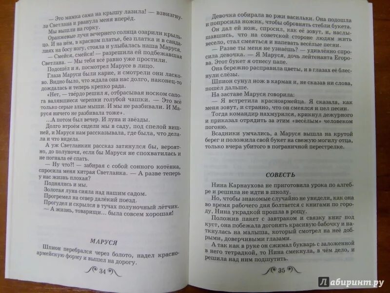 Совесть диктант 4. Диктант совесть. Контрольный диктант совесть. Совесть диктант четвёртый класс. Совесть диктант про Нину.