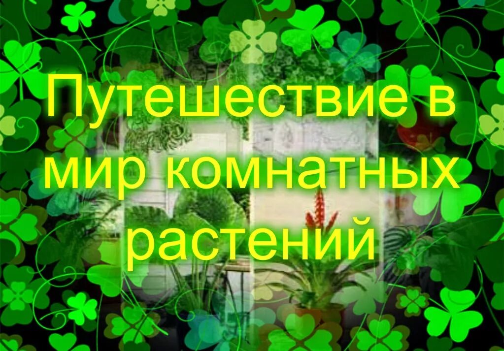 Мир комнатных растений. Надпись" мир комнатных растений". Комнатные цветы надпись. Домашние цветы надпись. Соломенникова мир комнатных растений