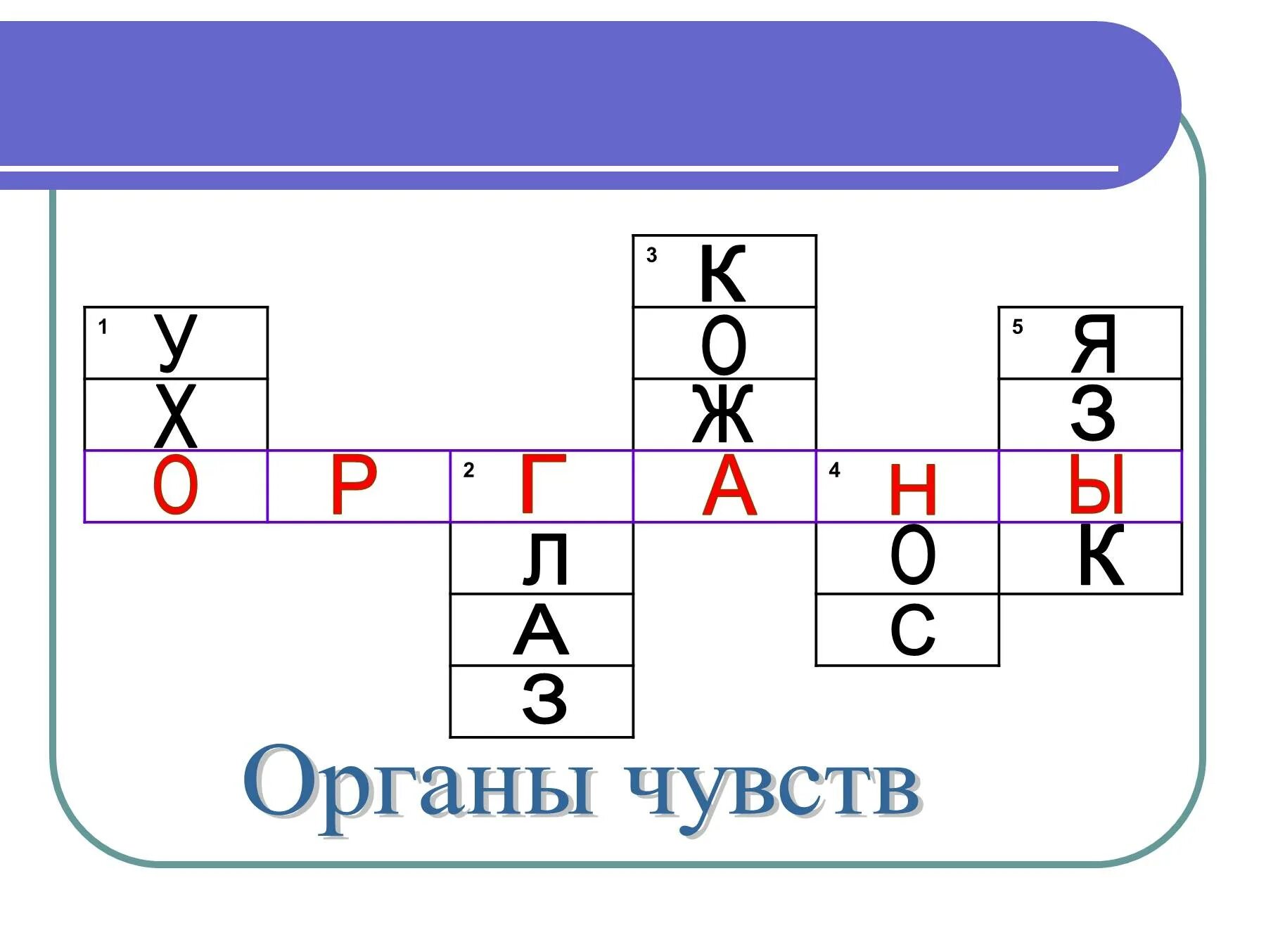 Органы чувств задания. Органы чувств задания для дошкольников. Задания на тему органы чувств для дошкольников. Органы чувств 3 класс задания. Органы чувств человека 3 класс задания.