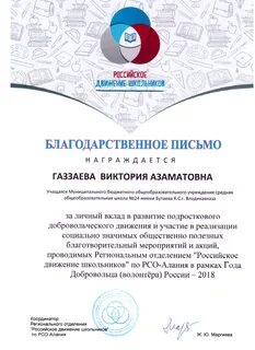 Год Добровольца (волонтера) России-2018