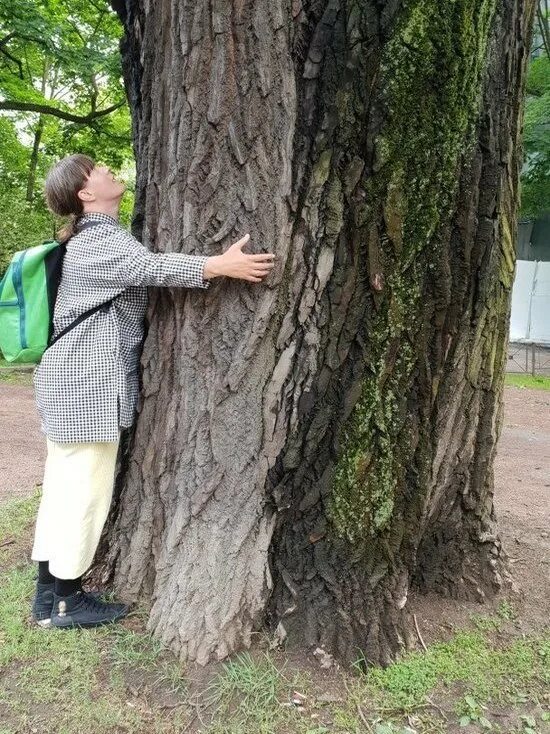 Сколько в санкт петербурге деревьев