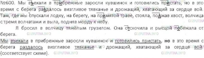 Русский 6 класс ладыженская упр 99. Мы въехали в прибрежные заросли кувшинок и готовились. Синтаксический разбор мы въехали в прибрежные. Русский язык 6 класс номер 600.