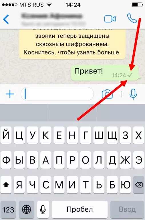 Значки в вацапе. Галочки ватсап. Символ номер в ватсапе. Знаки в переписке ватсап. Обозначения вацап