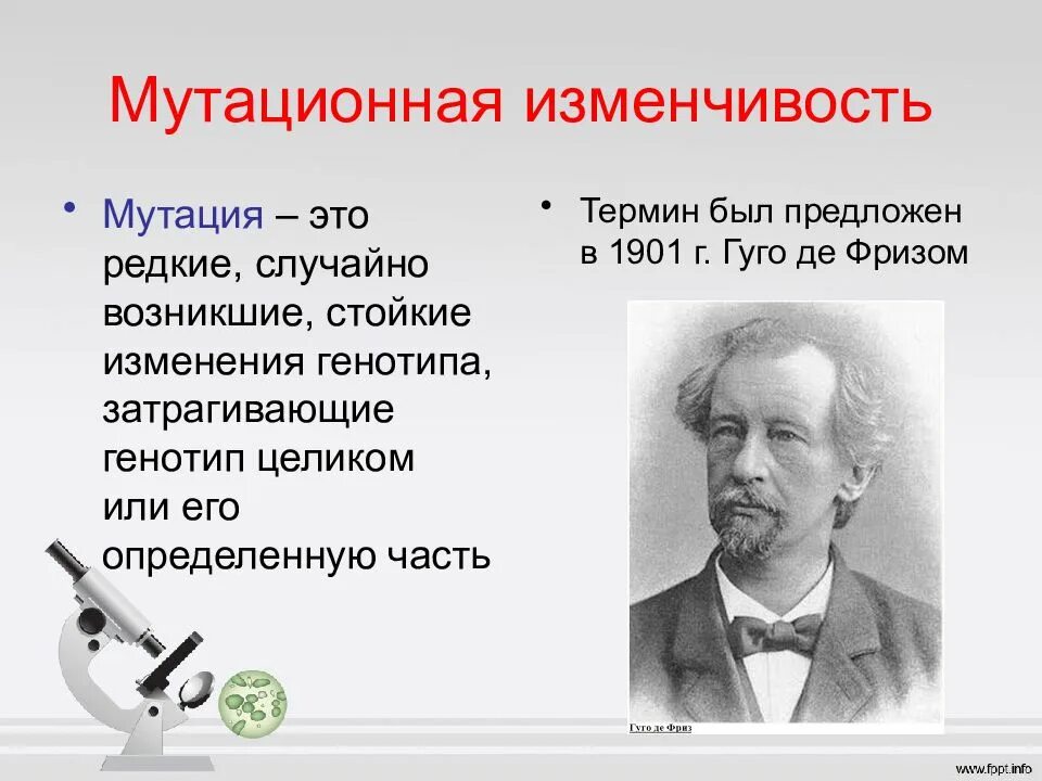 Термин мутация предложил. Термин мутация введён…. Понятие мутации. Определение понятия мутация. Термин мутация предложил.