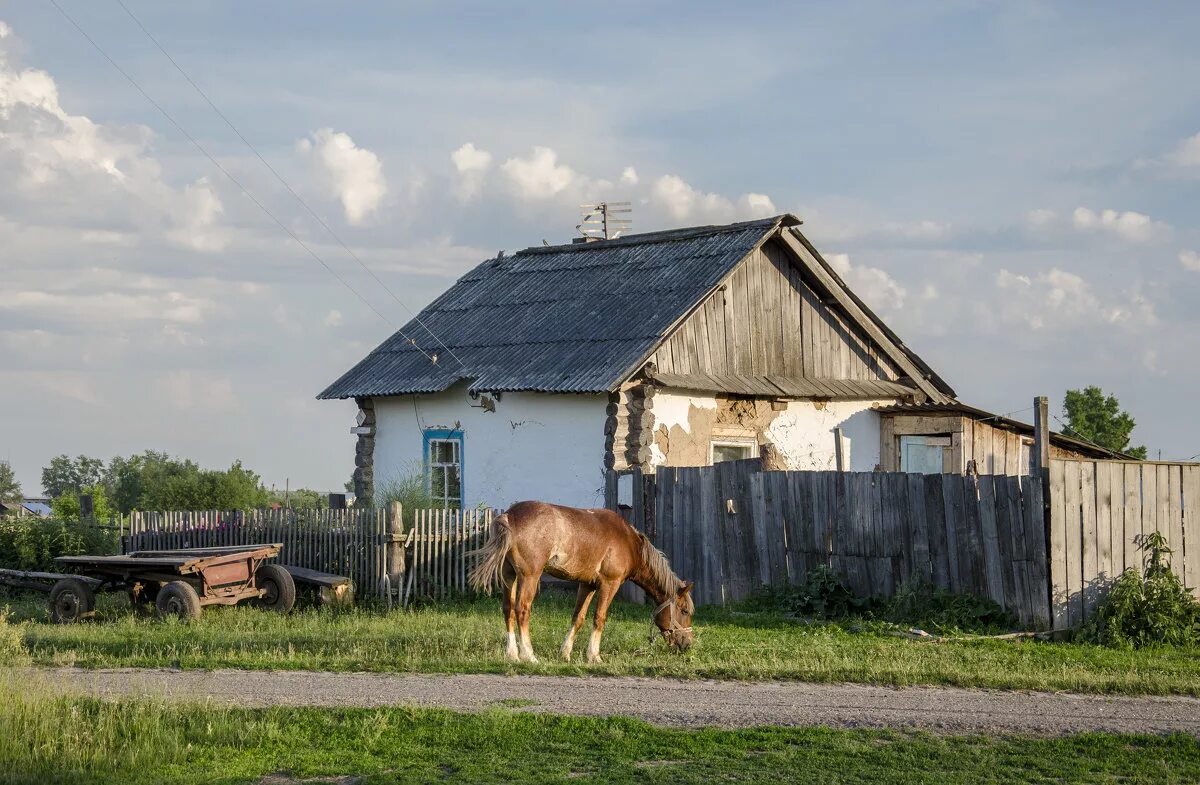 Село лошадка