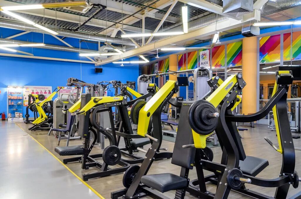 алекс фитнес занятия с тренером. алекс фитнес айсберг. алекс фитнес багратионовская. алекс фитнес богатырский 7. спорт зал алекс фитнес.