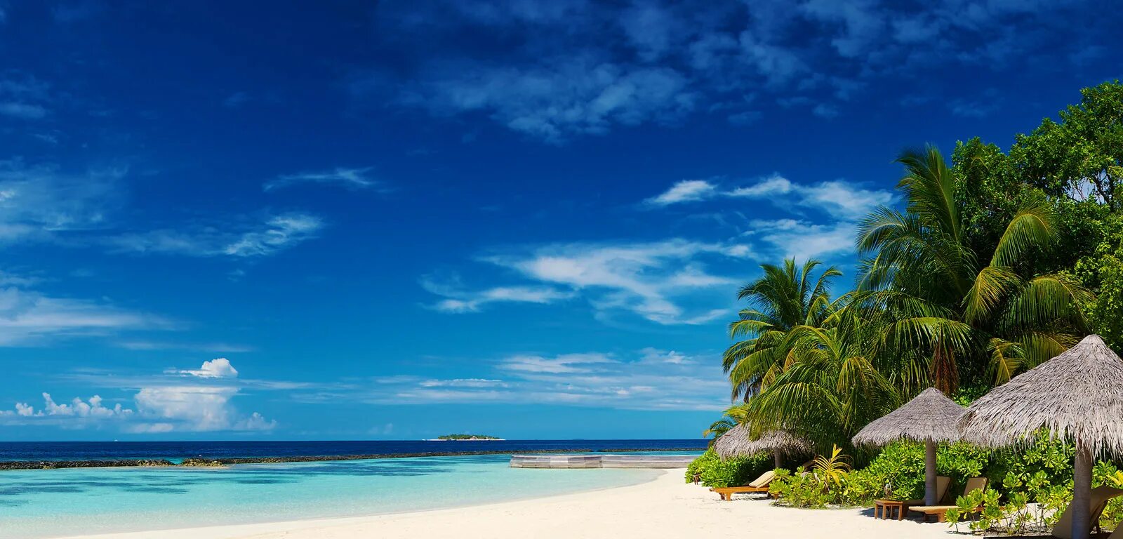 Обои айфон с островом. Мальдивы. Красивый пляж. Тропический пляж. Пляж с пальмами.