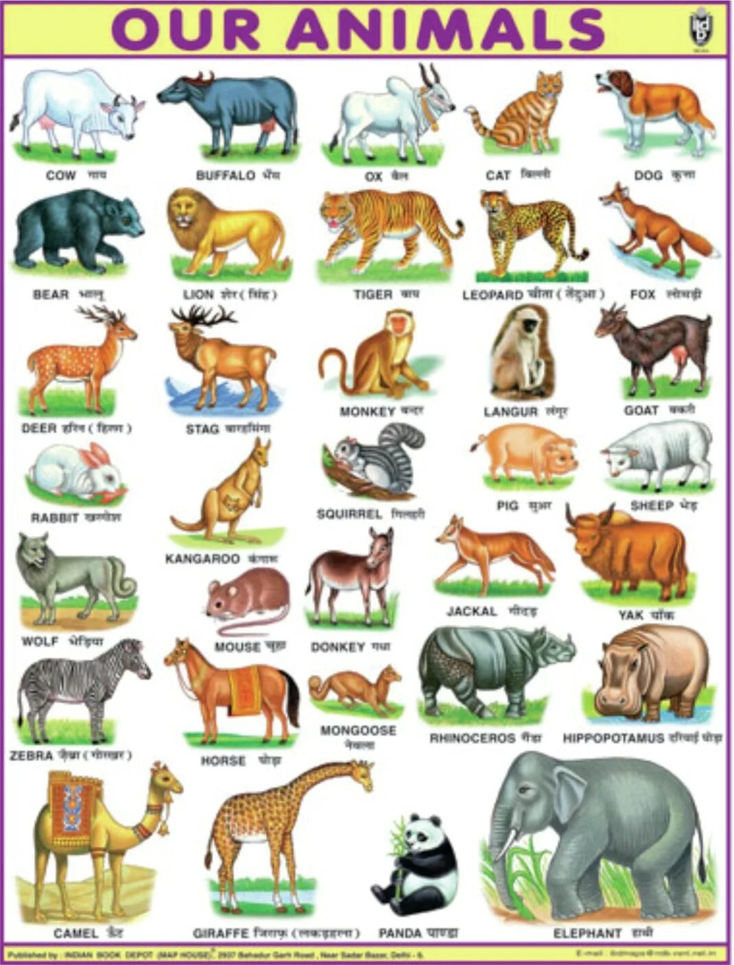 Domestic animals names. Wild animals and domestic animals. Kinds of mammals. Farm animals Chart.
