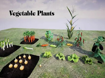 Crops 3d