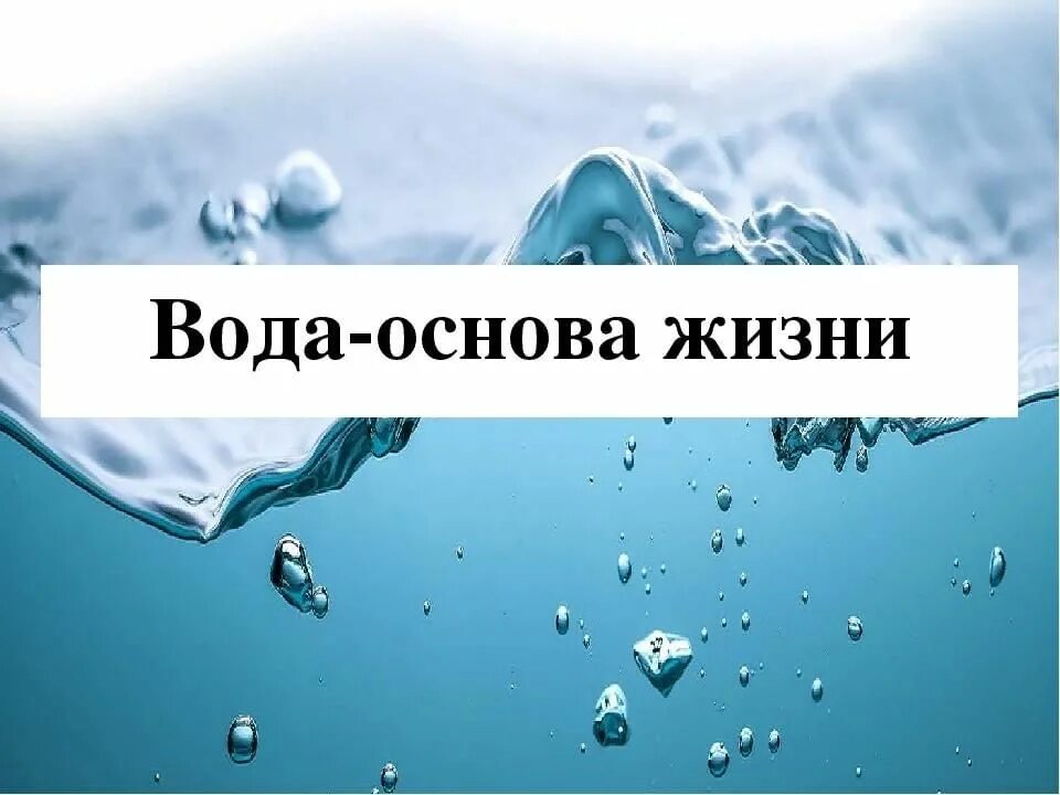 Сделать название воды. Вода основа жизни. Вода основа нашей жизни. Презентация на тему вода основа жизни. Вода основа жизни человека.