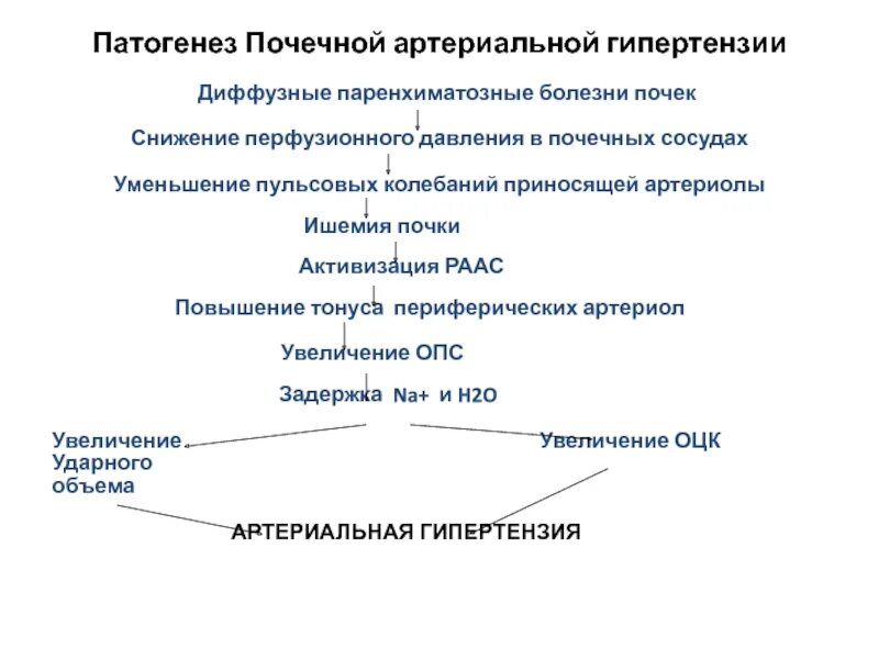 АГ патология почек патогенез. Схема обследования при почечной артериальной гипертонии. Механизм развития артериальной гипертензии при заболеваниях почек. Патогенез почечной артериальной гипертензии. Патогенез почки