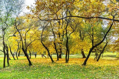Золотая осень жизни картинки