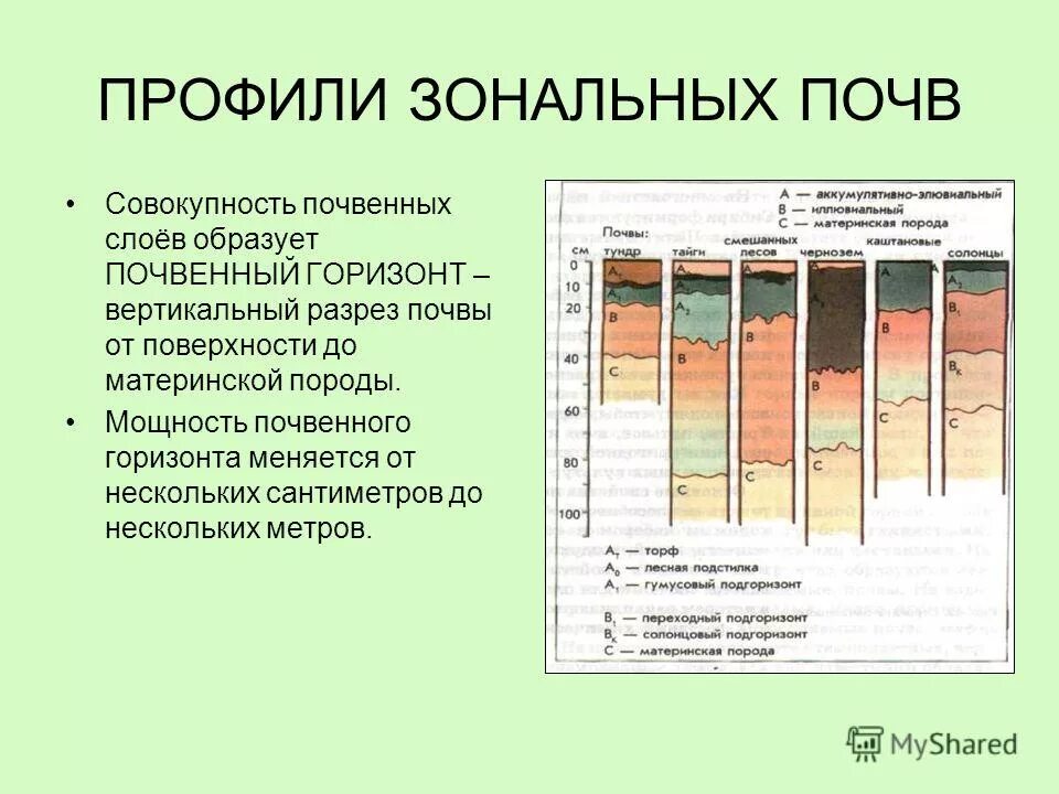 Почвенный слой на поверхности суши земли образован: слои почвы в разрезе с назва