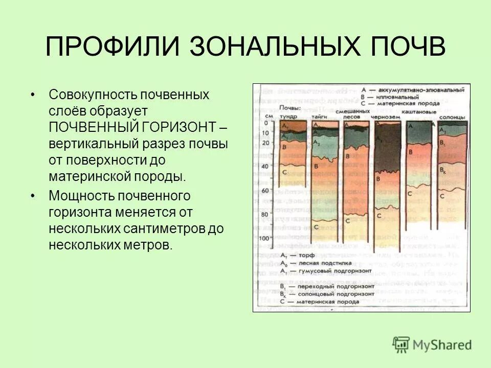 К материнской породе примыкает горизонт