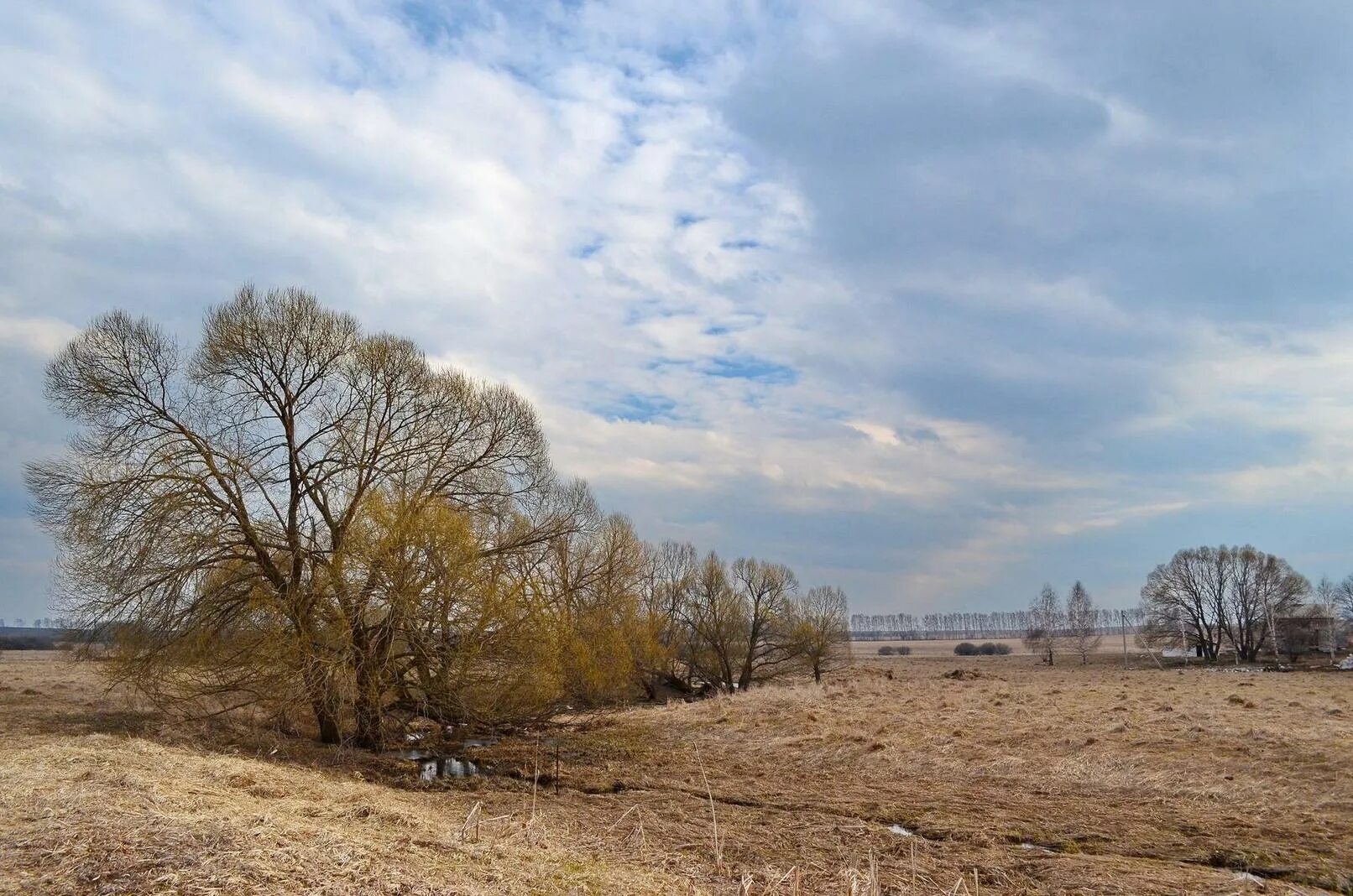 суздальское ополье. ополье снежок 2. рельеф ополье. ополье чернозем. наше ополье форум.