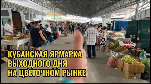 Кубанский рынок краснодар