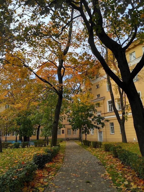 Университет Павлова в Санкт-Петербурге. Первый Санкт Петербургский университет. Медицинское училище Павлова СПБ Льва Толстого 19. ПСПБГМУ.