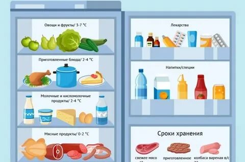 Правильное хранение продуктов в холодильнике
