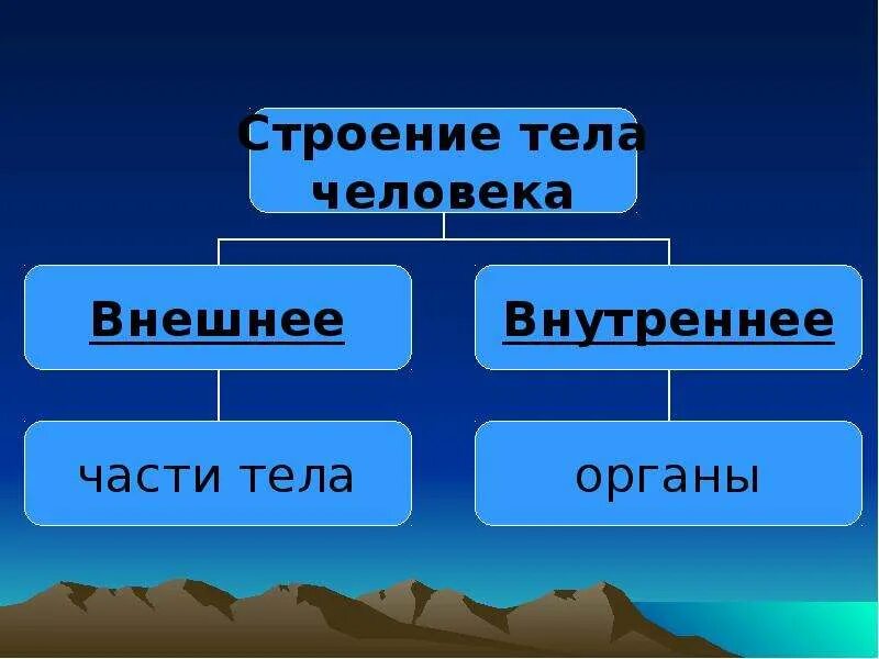 Строение человека 2 класс окружающий мир. Строение тела человека презентация 2 класс школа России презентация. Окружающий мир строение тела человека. Строение тела человека 2 класс презентация школа России. Строение человека 2 класс окружающий мир презентация