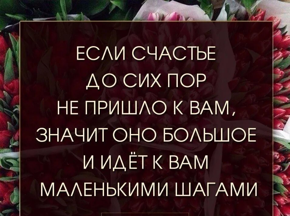 Счастье жизни статусы. Афоризмы про счастье. Высказывания о счастье. Цитаты про счастье. Статусы про счастье.