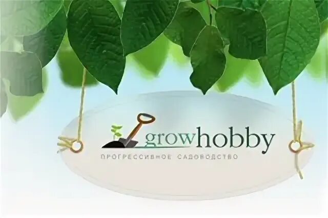 Grow hobby. Grow hobby