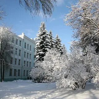 Мосгу московский гуманитарный