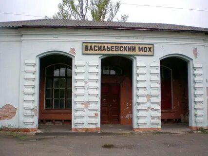 Васильевский мох