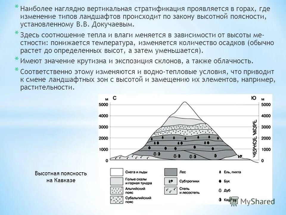 природные зоны кавказа высотная поясность. зоны высотной поясности. высотная поясность кавказа 8 класс география. высотная поясность. закон высотной поясности.