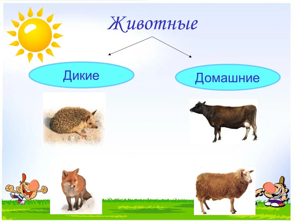 Животные для первого класса. Дикие и домашние животные. Дикие и домашние животные презентация. Слайд Дикие и домашние животные. Дикие и домашние животные 2 класс.