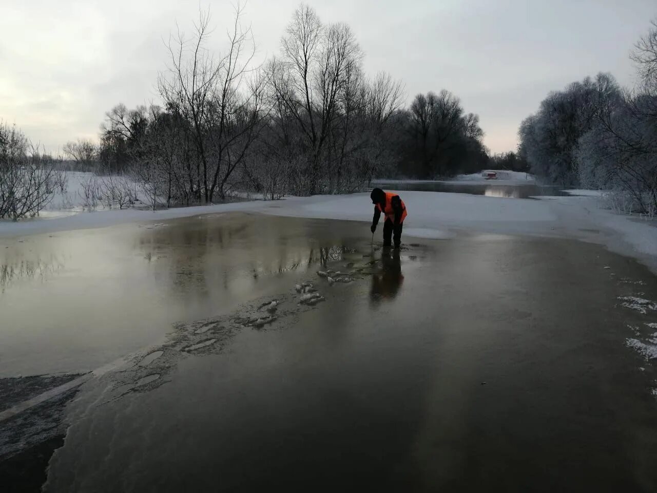 Уровень воды в оке в луховицах сегодня. Разлив Оки Белоомут. Луховицы Ока разлив. Белоомут разлив 2023. Паводок реки это.