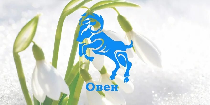 Гороскоп овен март 2025 год. Овен в апреле 2025. овен март. март 2025. овен на март 2025.