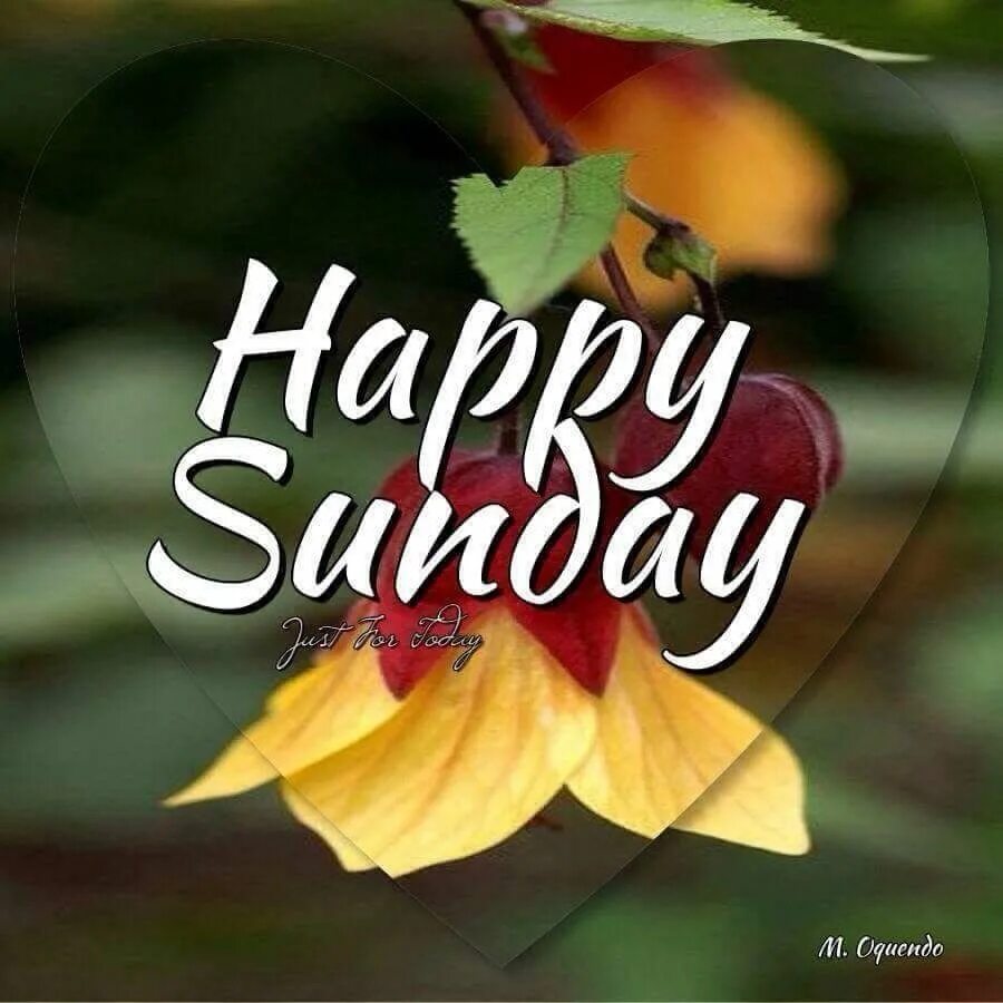 It is happy day of my. Открытка Happy Sunday. Открытки good Day Sunday. Good morning Sunday картинки. Хорошего воскресенья на английском языке.
