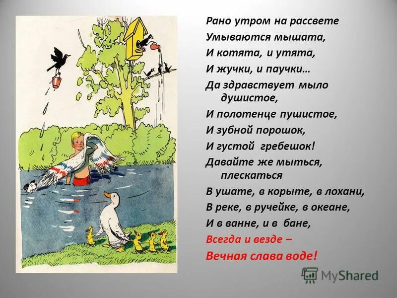 Стих раннее утро. Рано утром на рассвете умываются мышата и котята и утята и жучки. Рано утром на рассвете умываются мышата. Стихотворение рано утром на рассвете умываются мышата. Рано утром на рассвете умываются мышата, и котята, и утята,.