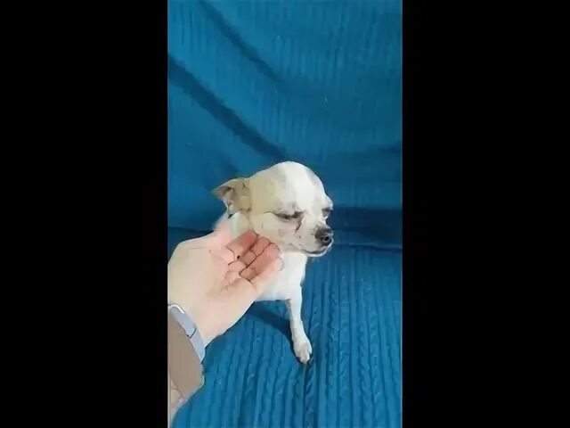 Вставай малышка