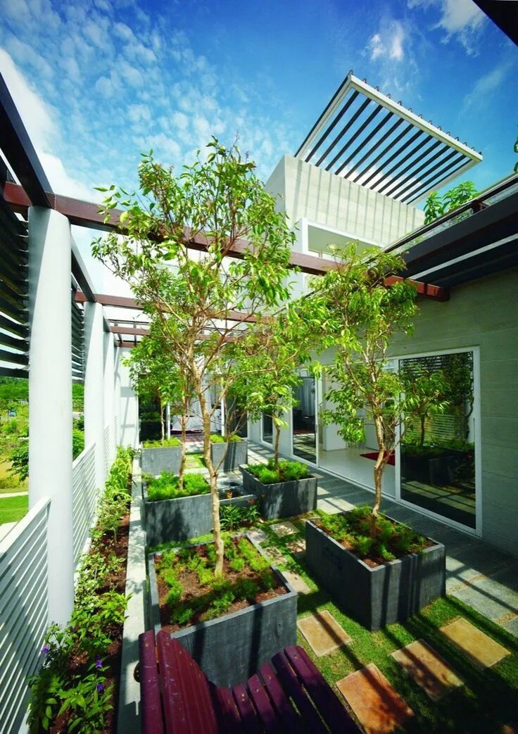 Зеленый дом дизайн LiveWall Green Wall Systems Make Parking More Pleasant Parking building, Sustain