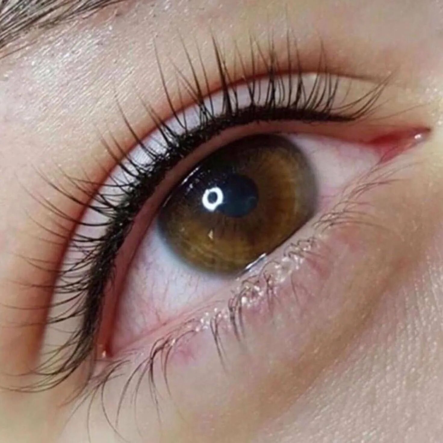 татуаж глаз межресничное. татуаж век межресничное пространство. межресничный контур век. перманентный макияж глаз межресничное пространство. татуаж век стрелки межресничка.