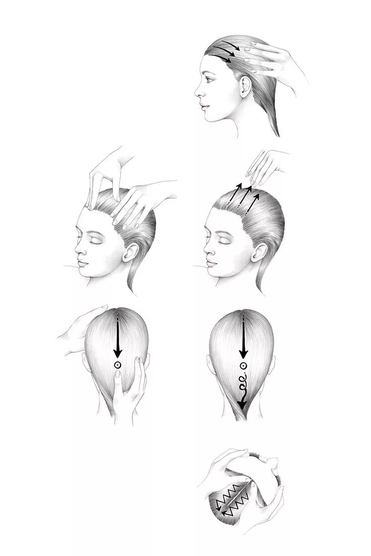 Массажные линии головы. Приемы выполнения массажа головы. Массаж головы схема. Массаж головы от выпадения волос.