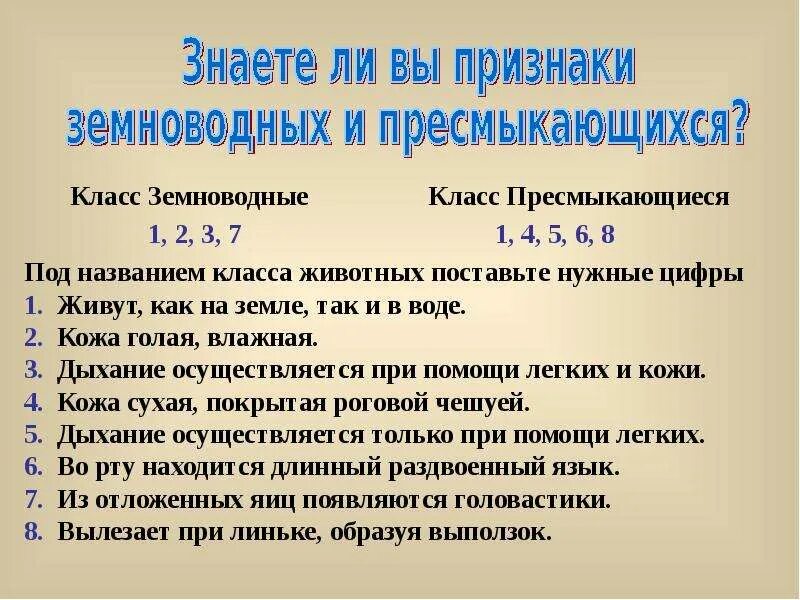 Отличие рептилий от земноводных. Отличия пресмыкающихся от амфибий. Отличие пресмыкающихся от земноводных. Чем земноводные отличаются от рептилий. Отличие земноводных от пресмыкающихся таблица.