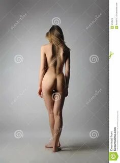 Photo about Beautiful naked woman -back view. 