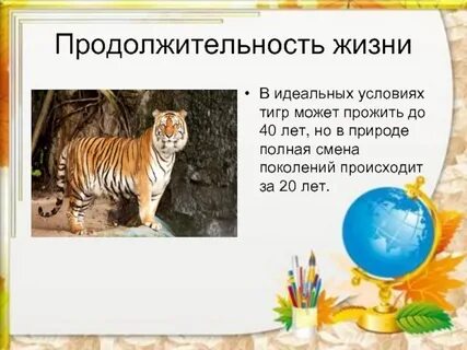 Срок животное