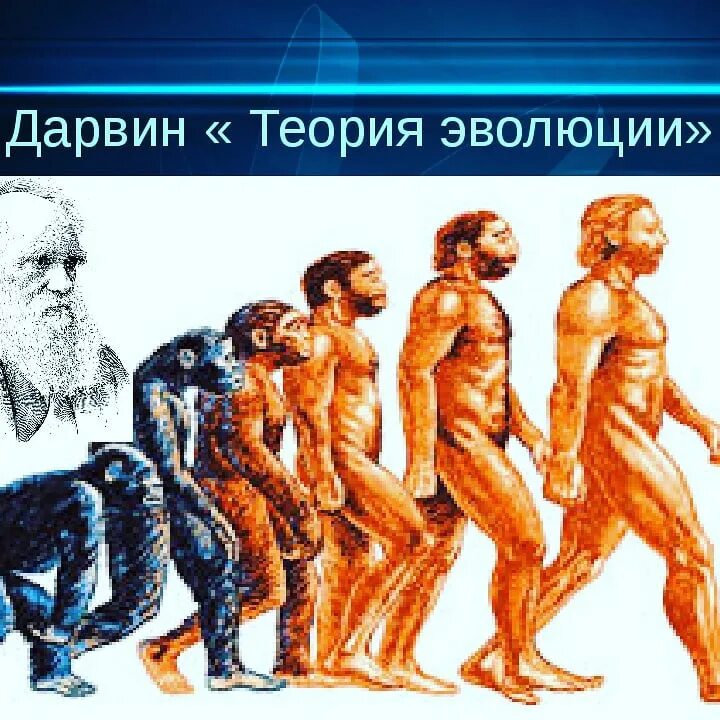 Эволюция бывшие. Чарльз дарвин эволюция человека. эволюционная теория чарльза дарвина. теория эволюции дарвина. чарльз дарвин теория эволюции человека.