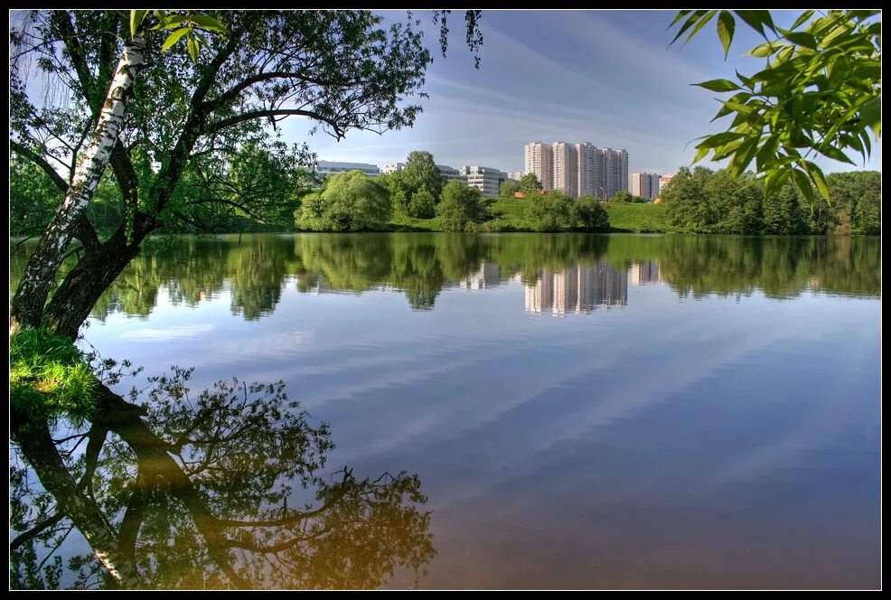 Строгино город москва. Москва река Строгино. Парк в Строгино на Москве реке. Район Строгино. Строгино район природа.