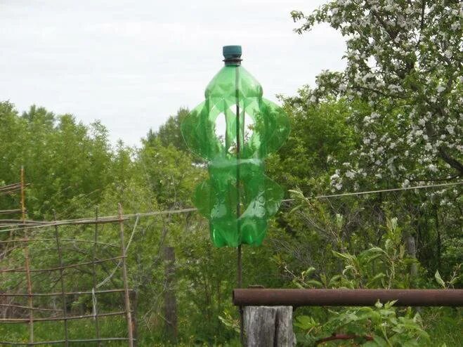 Пластиковая бутылка от кротов. Отпугиватель из бутылок от птиц. Отпугиватель птиц из пластиковой бутылки. Отпугиватель из бутылки от кротов. Отпугиватель кротов из пластиковой бутылки.