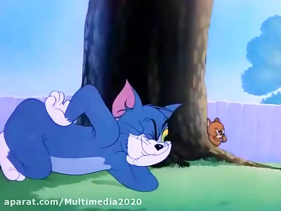 Тома и джерри показывающих. Tom and Jerry спать. Джерри смущается. Том и Джерри язык. Фото Тома и Джерри.