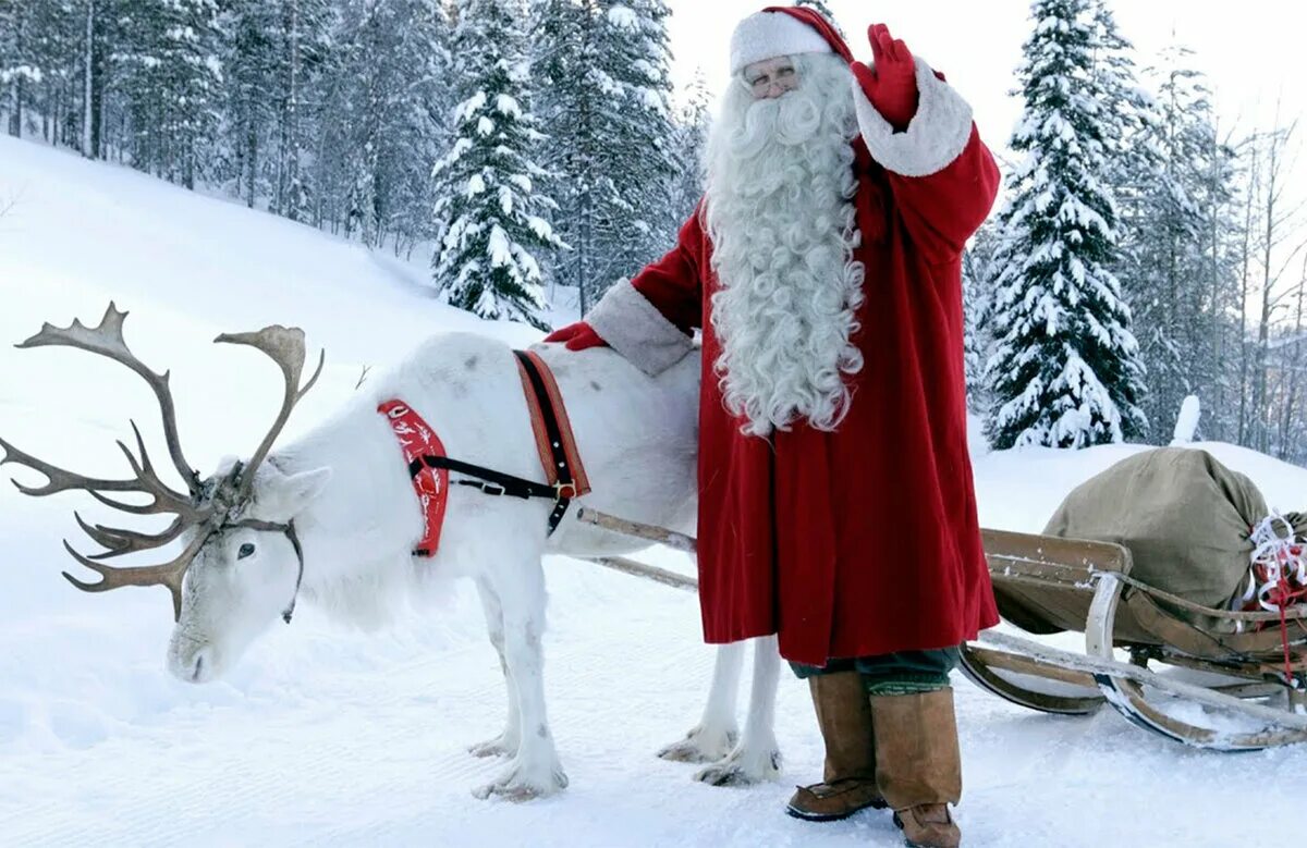Ело пуки. Йоулупукки дед Мороз. Финляндский дед Мороз йоулупукки. Дед Мороз в Финляндии йоулупукки.