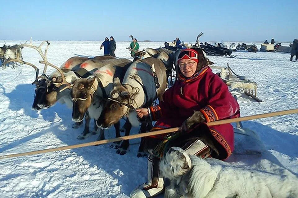 Жители тундры. Жители тундры люди. Народы тундры России. Кочевники тундры.