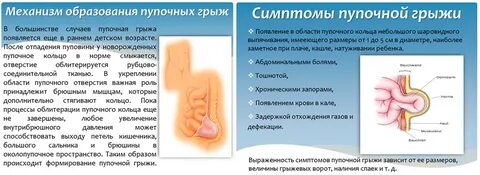 Воняет задний проход