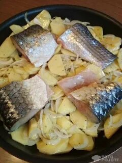 Рыба кефаль рецепты