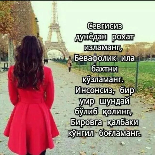 Бир умр. Ёлгончи. умр хакида картинка. хечкимга ишонмиман. елгончи дуне.