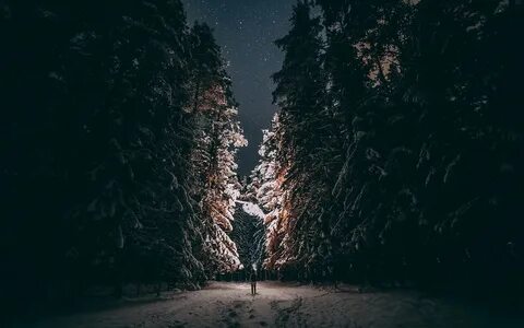 Ночной тропой можно я с тобой песня